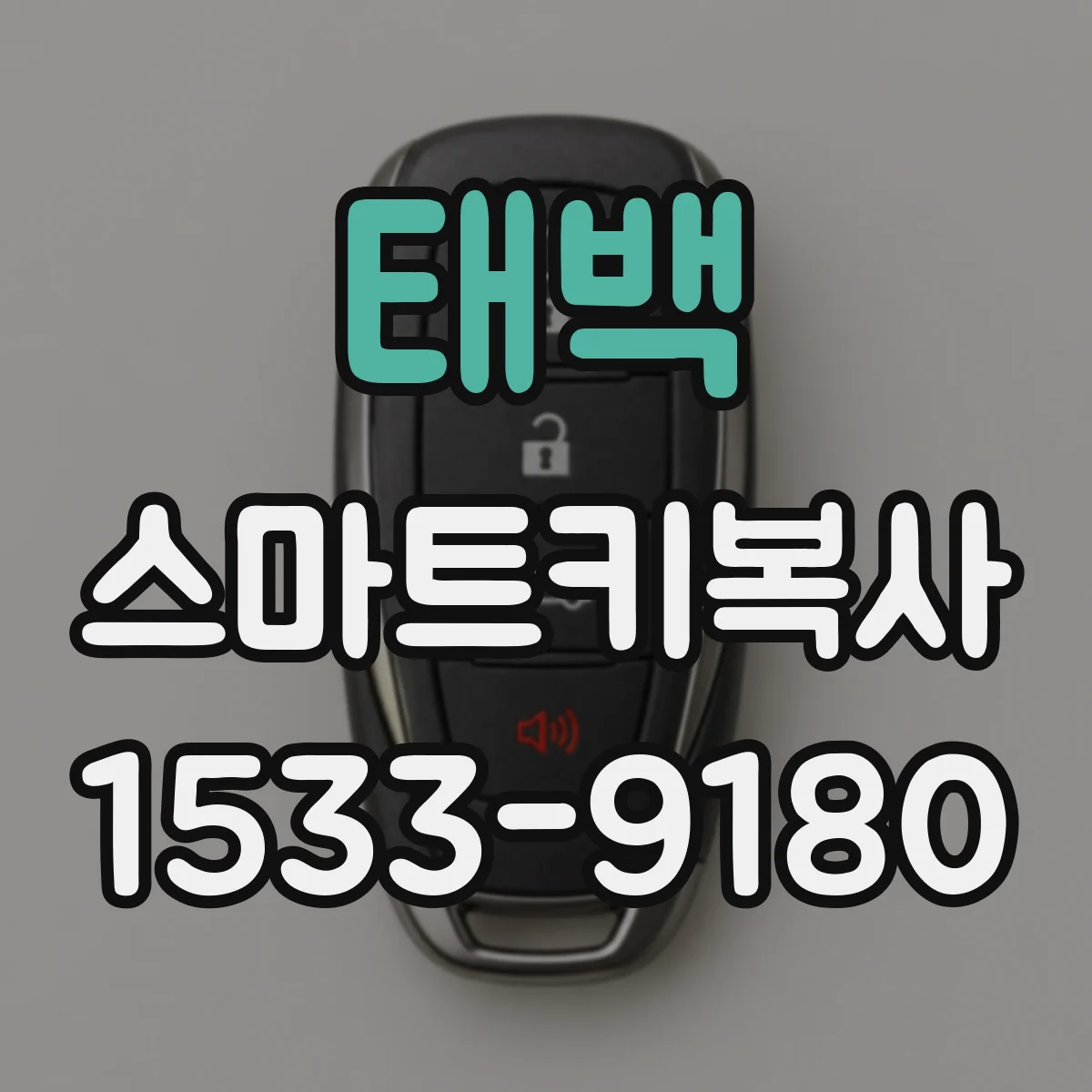 태백 스마트키복사