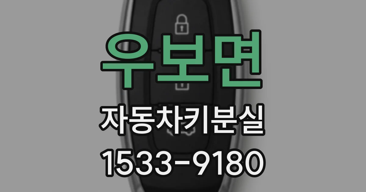 우보면 자동차키분실