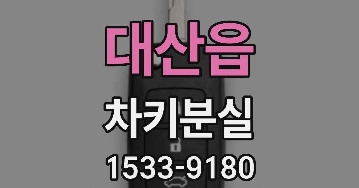대산읍 차키분실