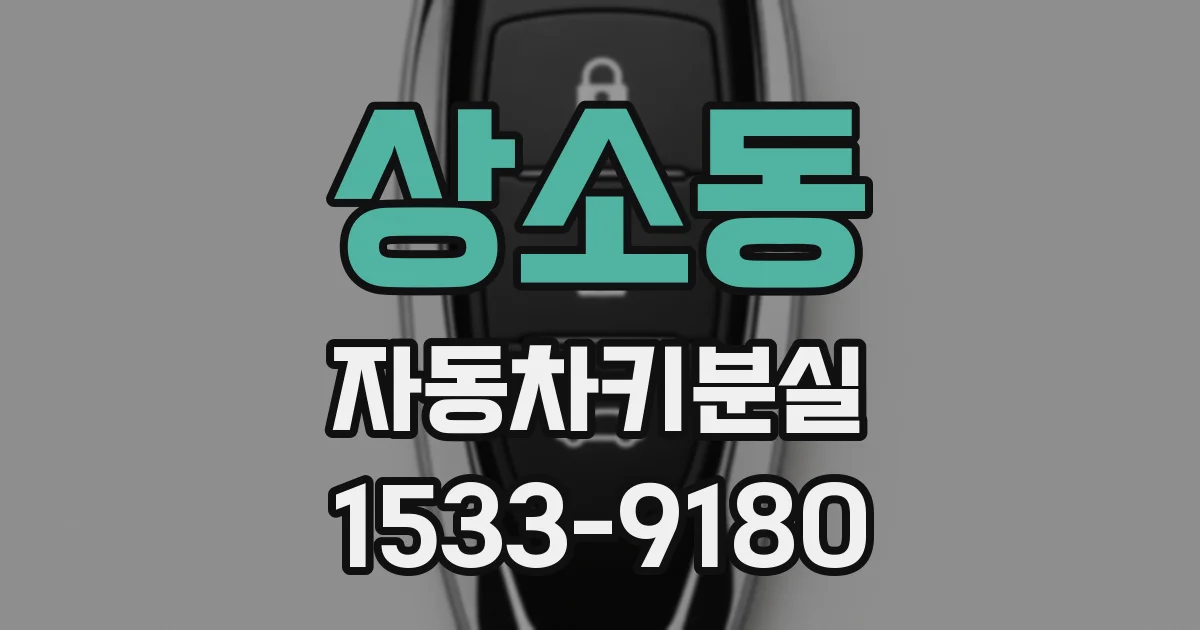 상소동 자동차키분실