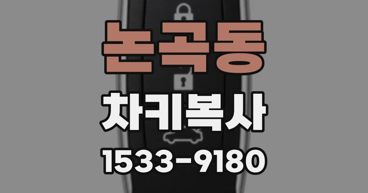 논곡동 차키복사