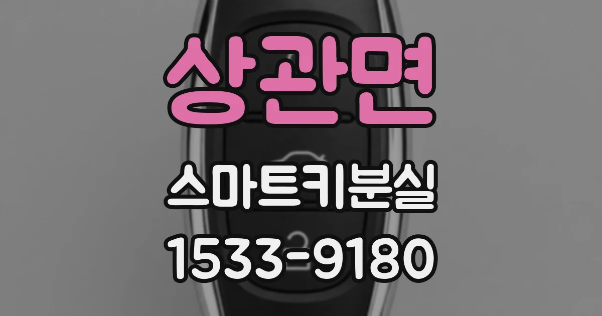 상관면 스마트키분실