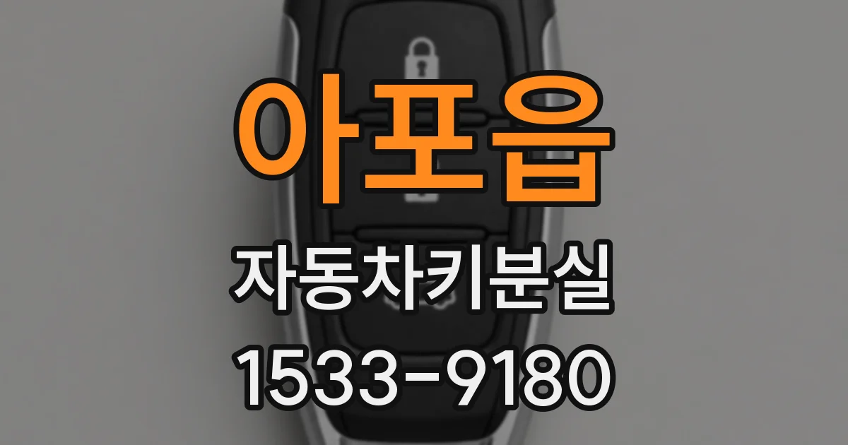 아포읍 자동차키분실