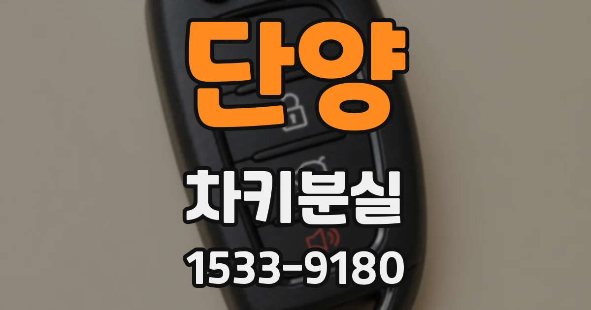 단양 차키분실