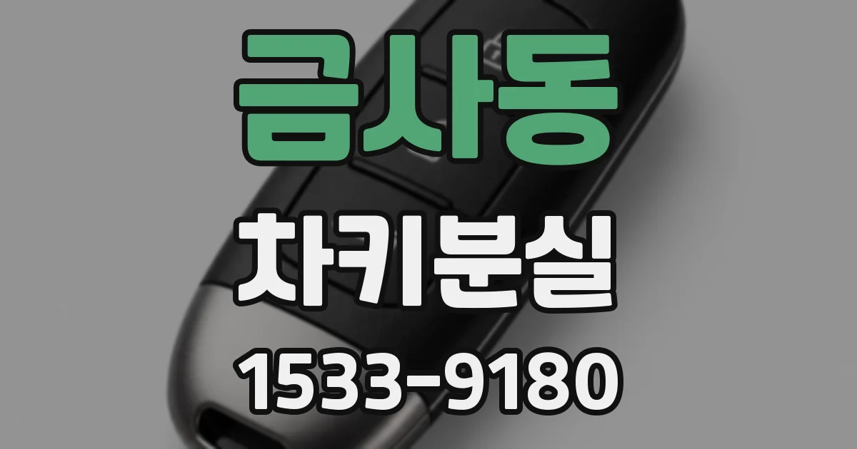 금사동 차키분실