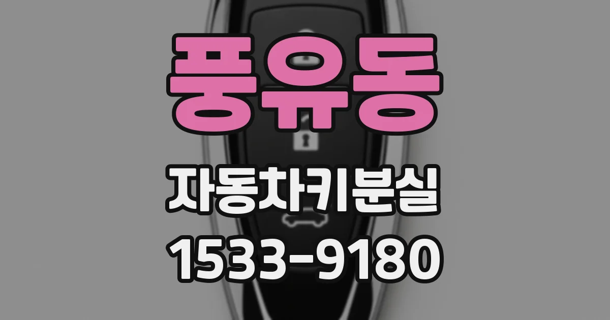 풍유동 자동차키분실