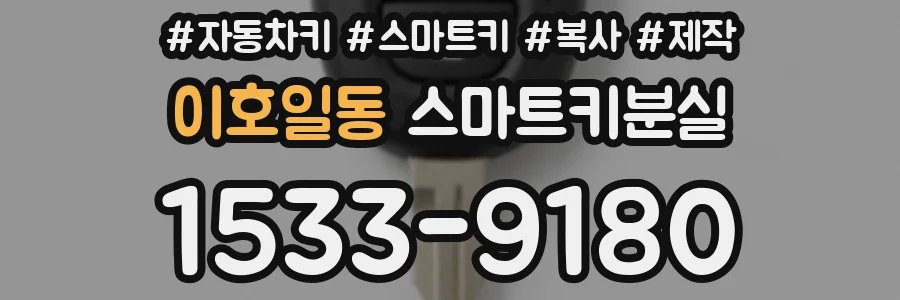 이호일동 스마트키분실