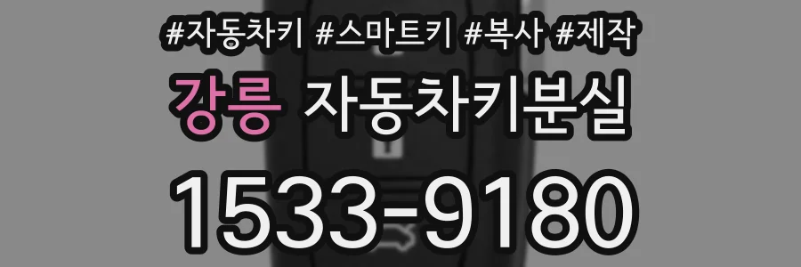강릉 자동차키분실