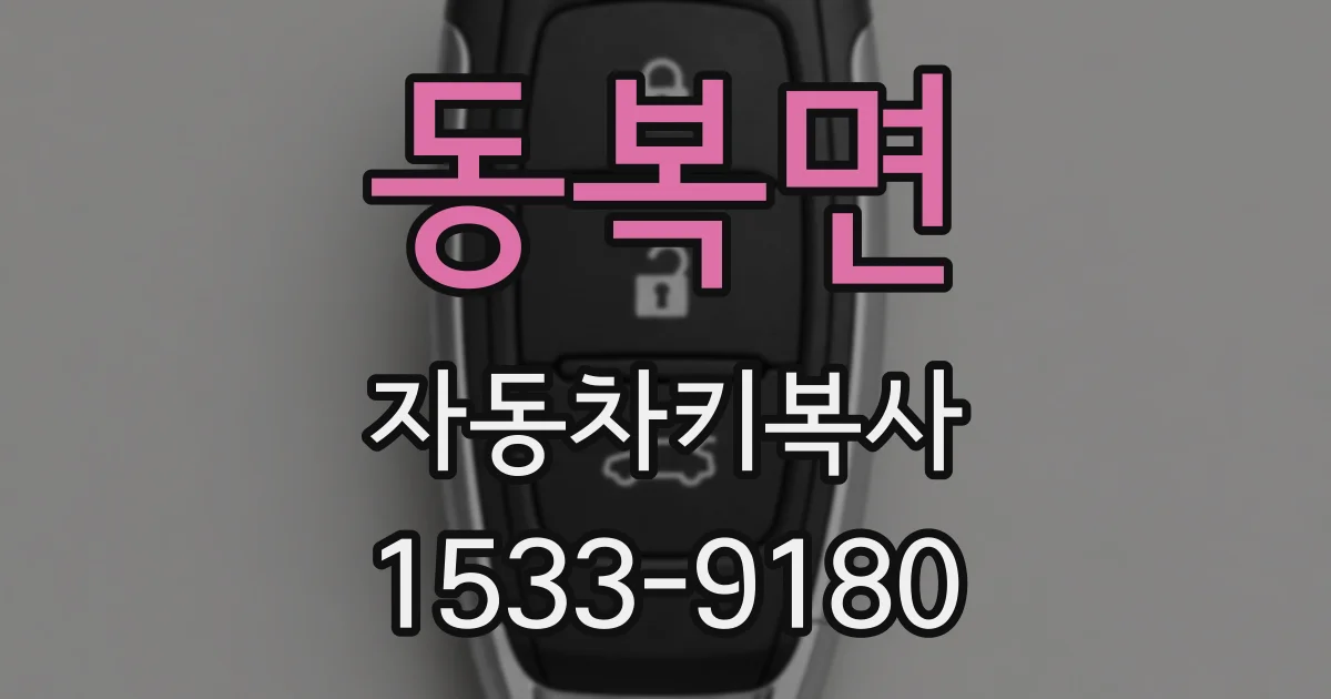 동복면 자동차키복사