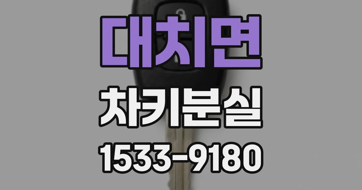 대치면 차키분실
