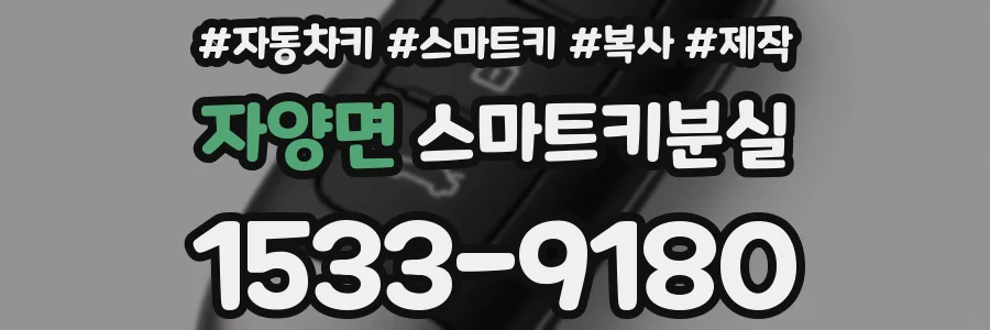 자양면 스마트키분실