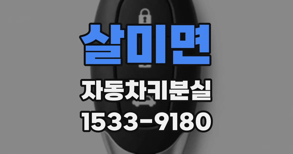 살미면 자동차키분실