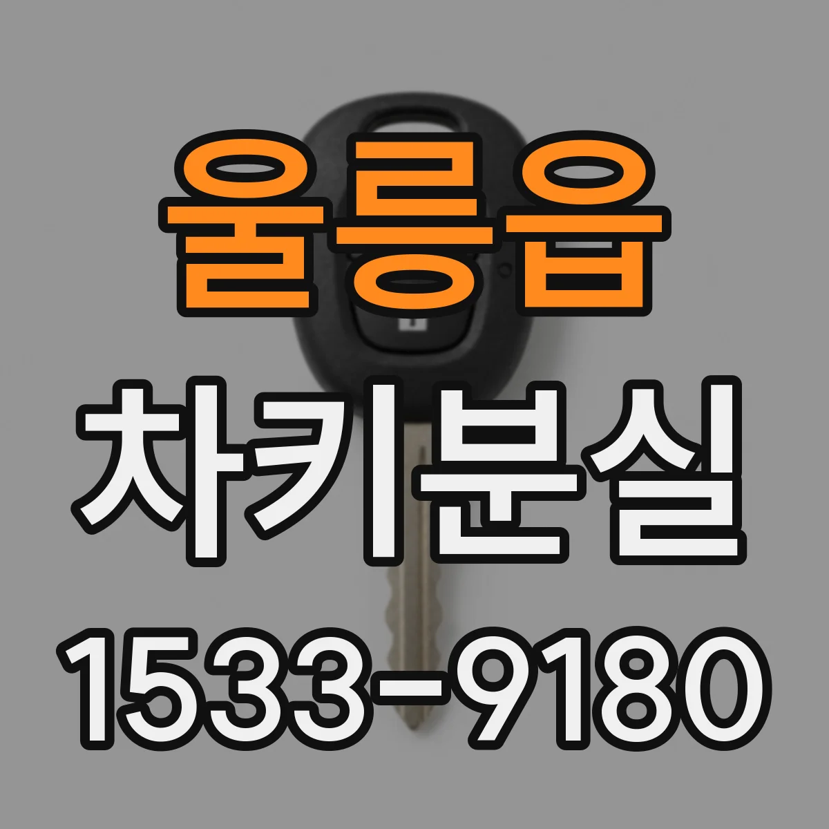 울릉읍 차키분실