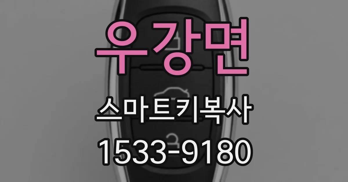 우강면 스마트키복사