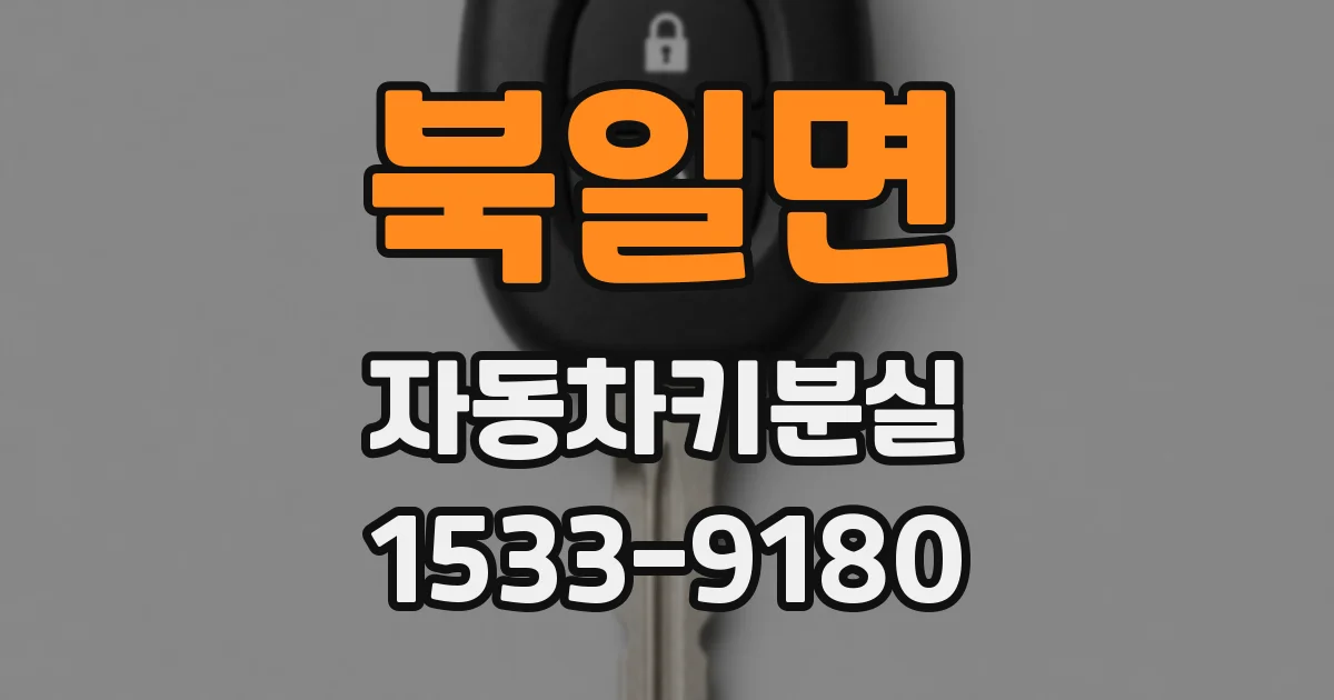 북일면 자동차키분실