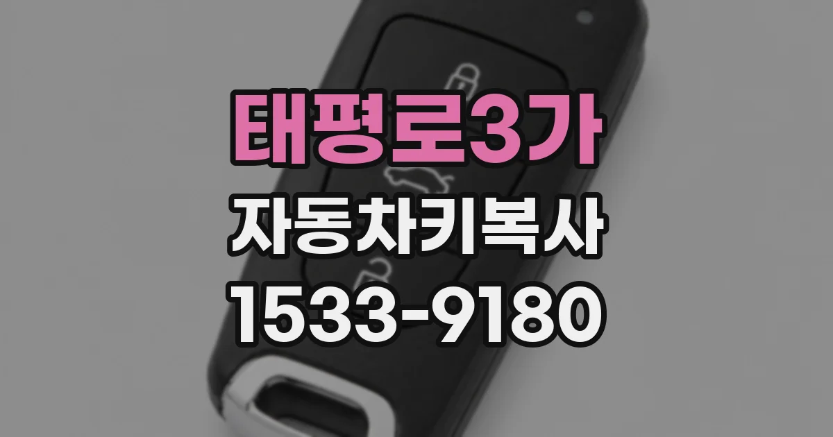 태평로3가 자동차키복사