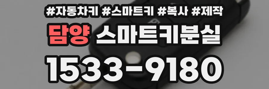담양 스마트키분실