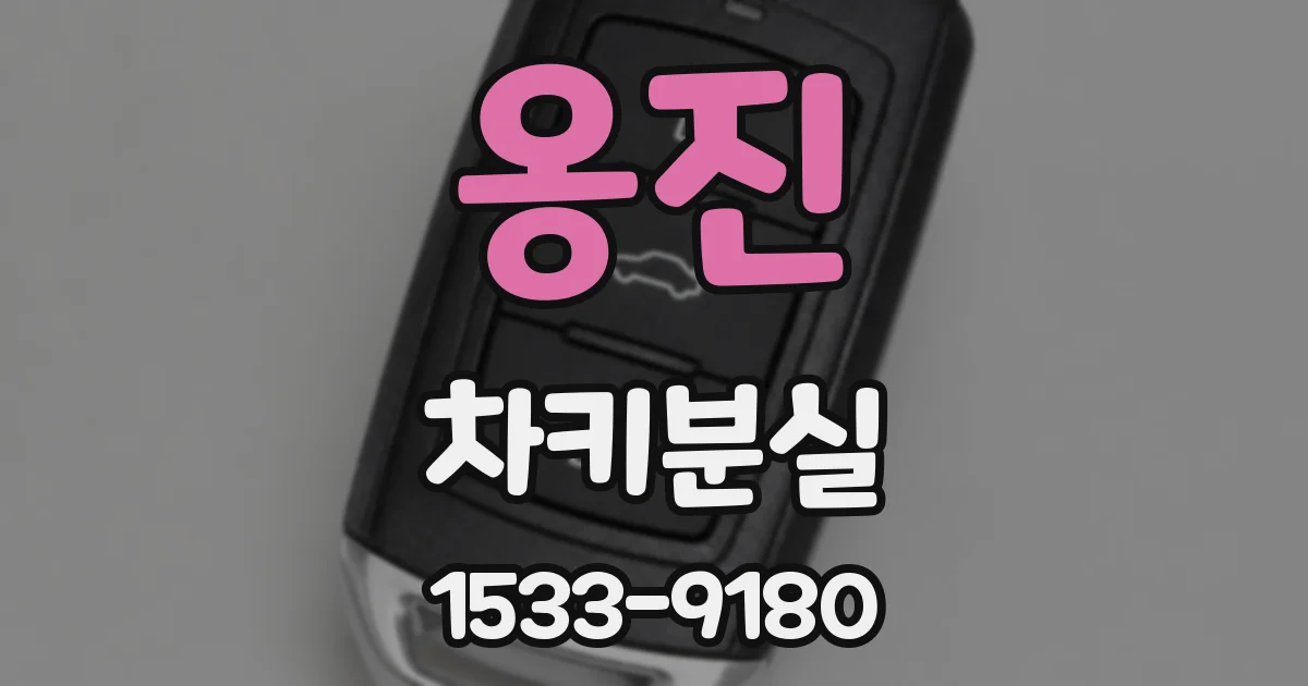 옹진 차키분실
