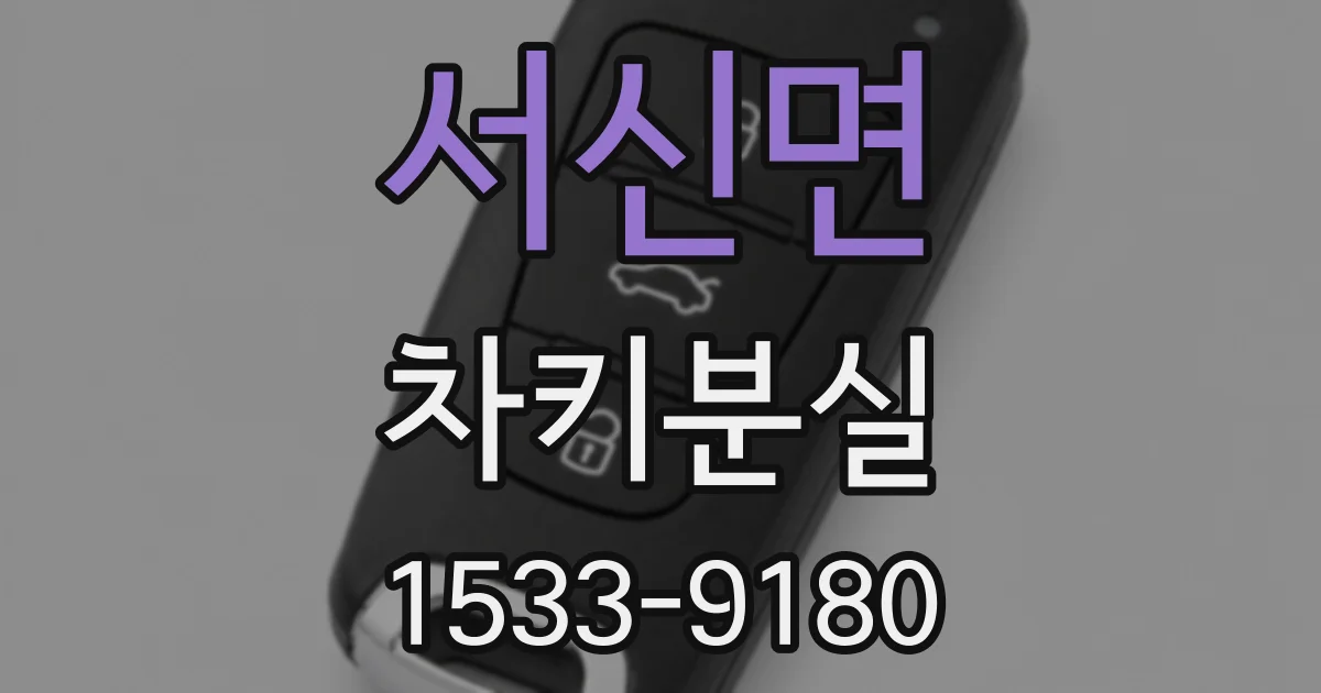 서신면 차키분실