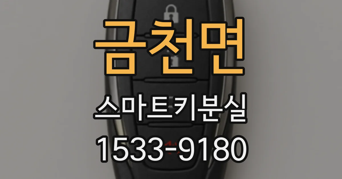 금천면 스마트키분실