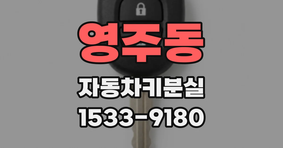 영주동 자동차키분실
