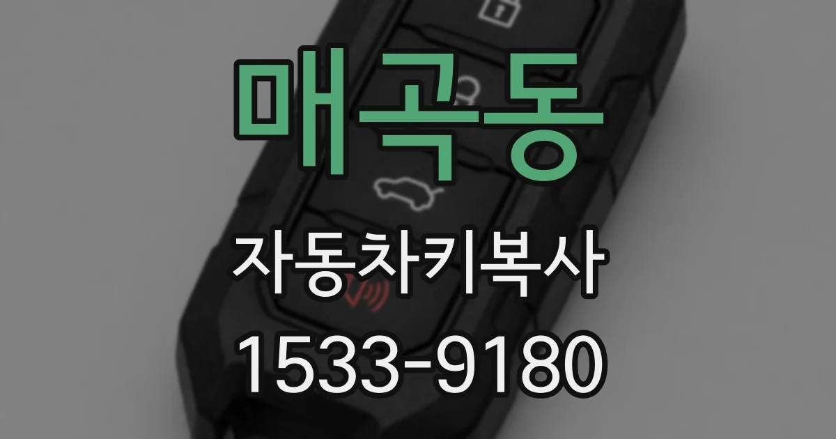 매곡동 자동차키복사