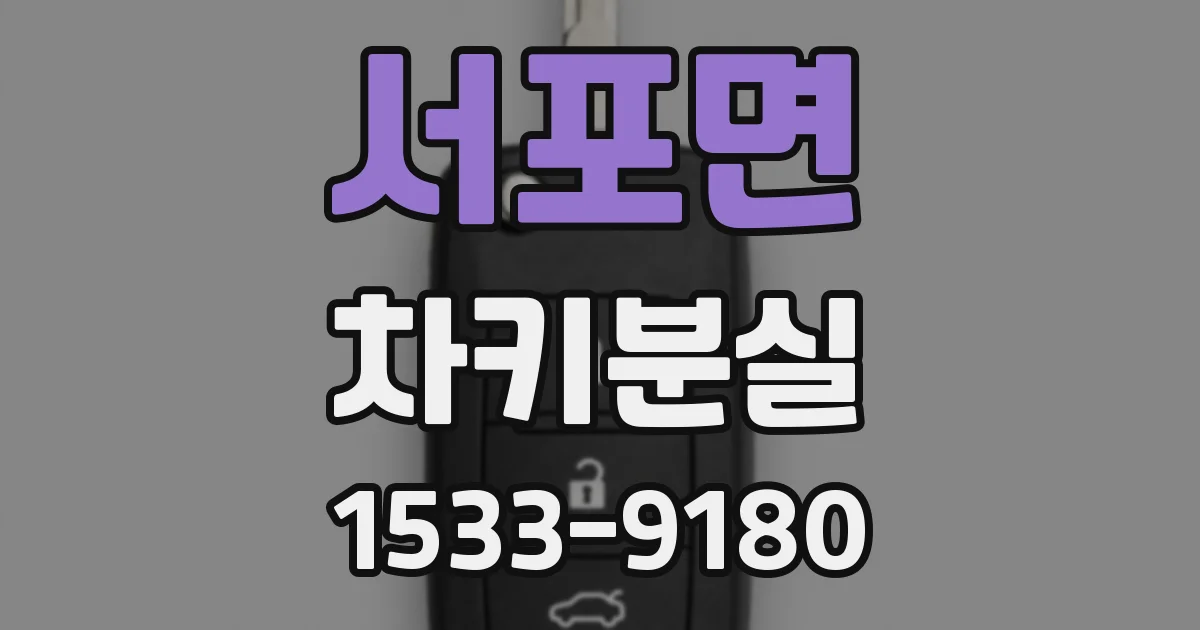 서포면 차키분실