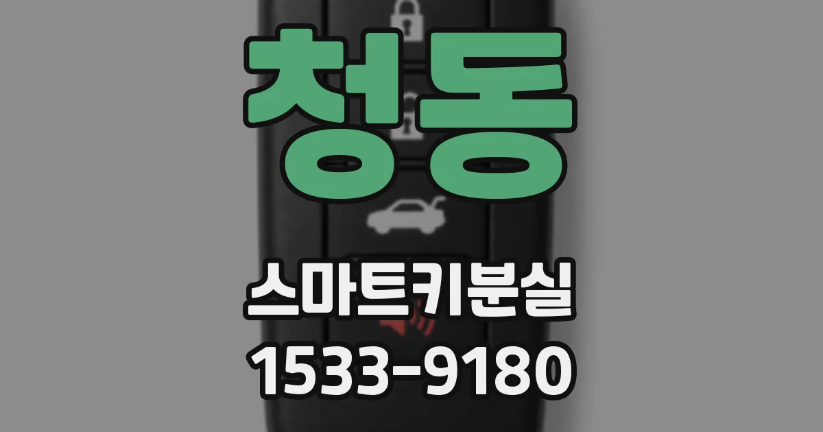 청동 스마트키분실