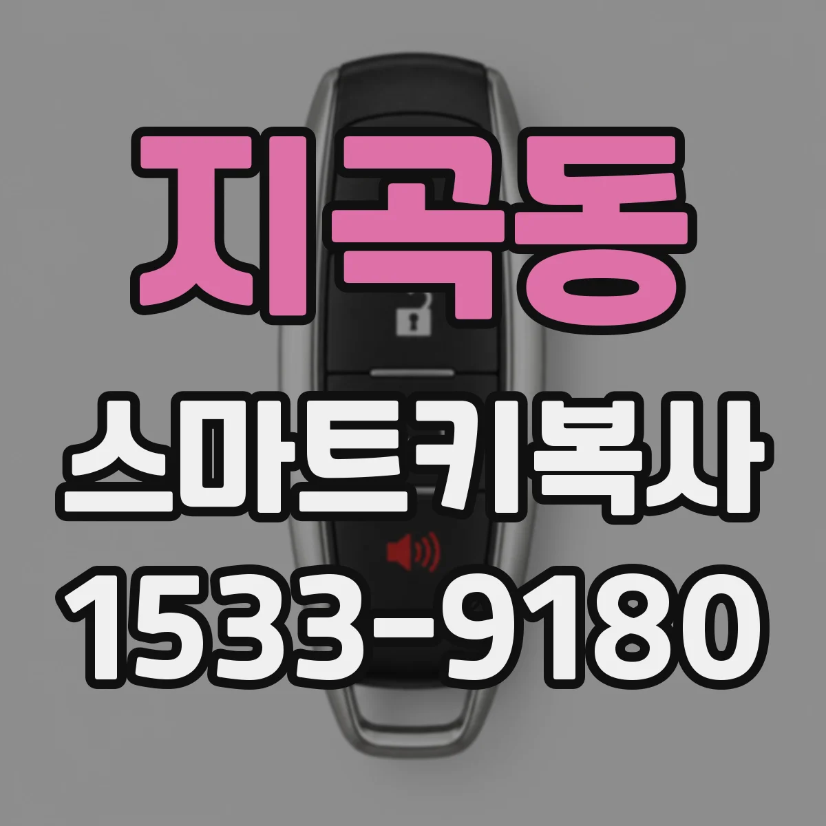 지곡동 스마트키복사
