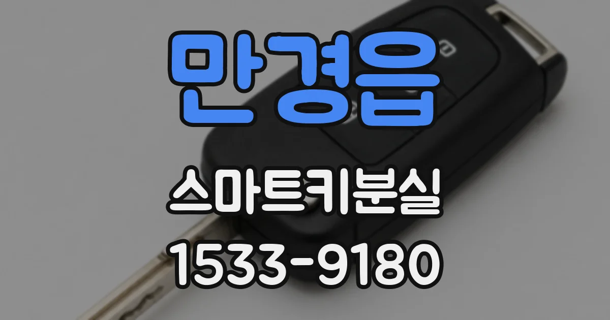 만경읍 스마트키분실