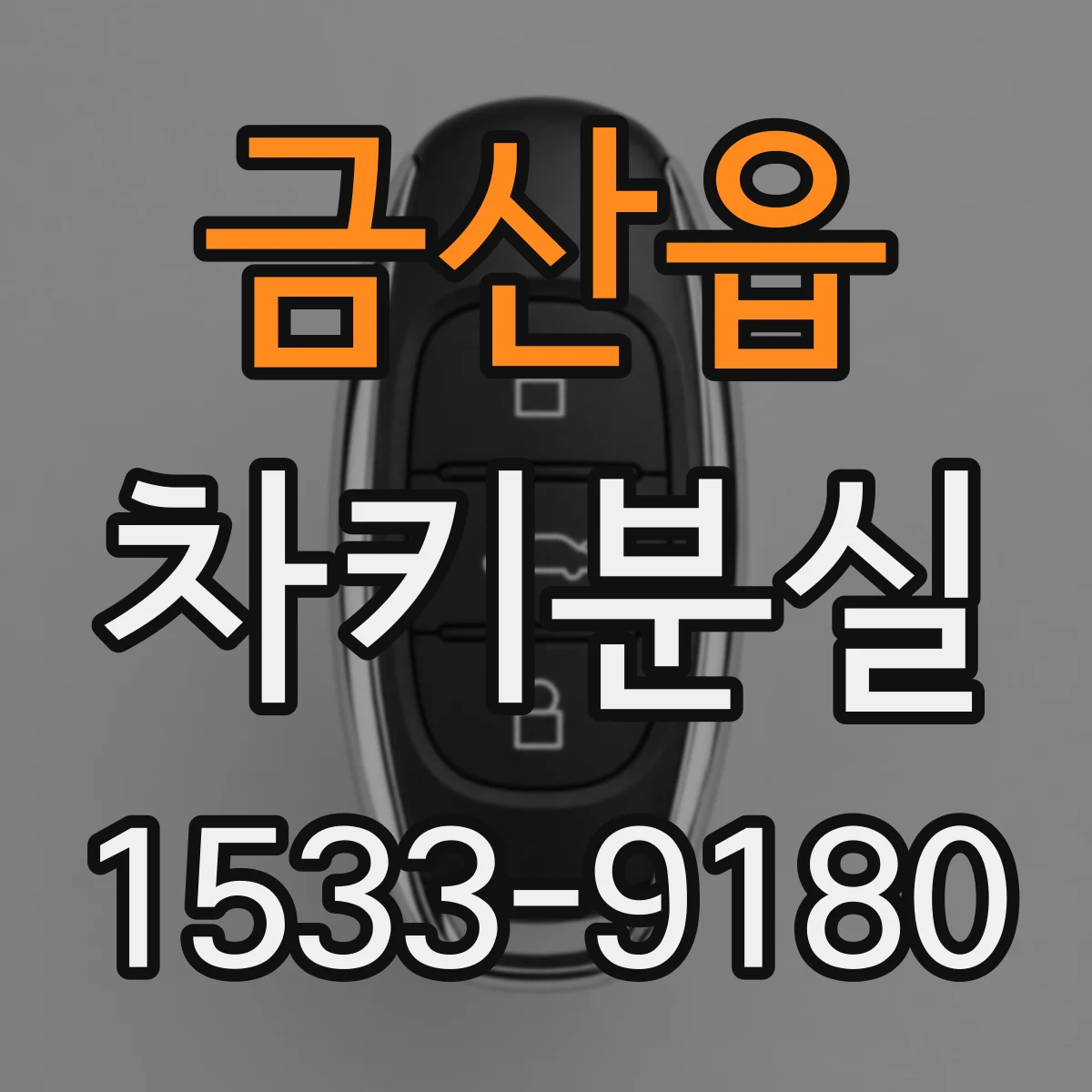 금산읍 차키분실