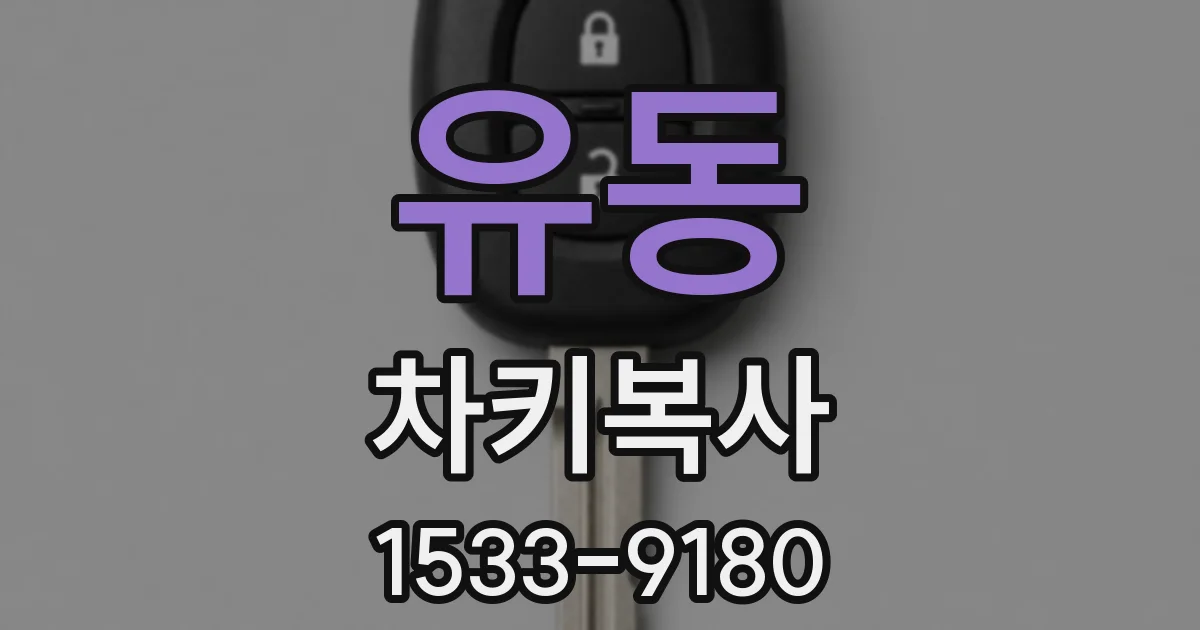 유동 차키복사
