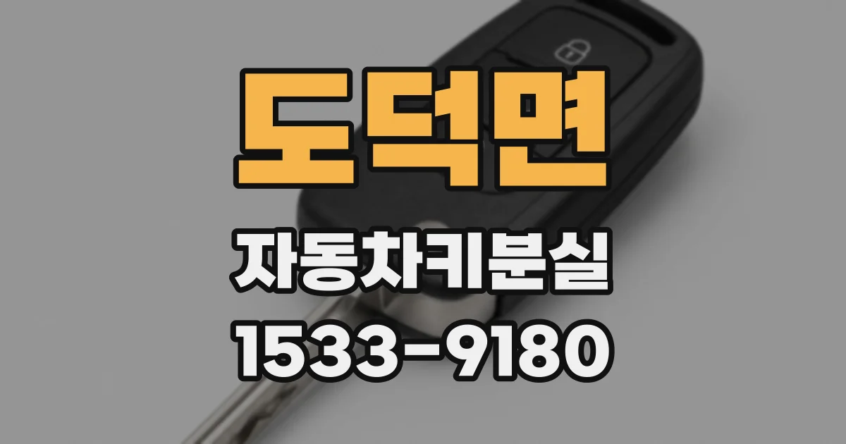 도덕면 자동차키분실