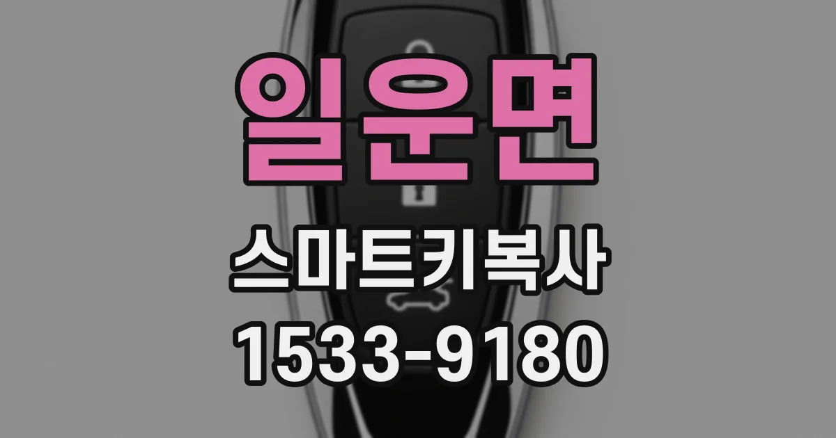 일운면 스마트키복사