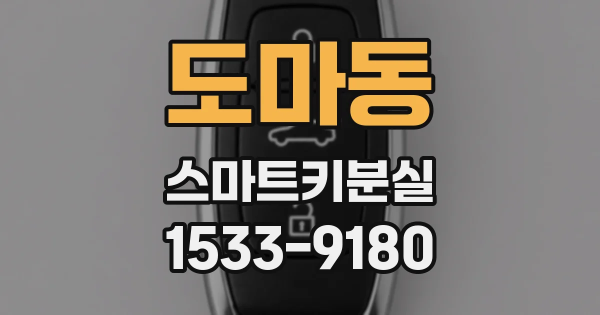 도마동 스마트키분실
