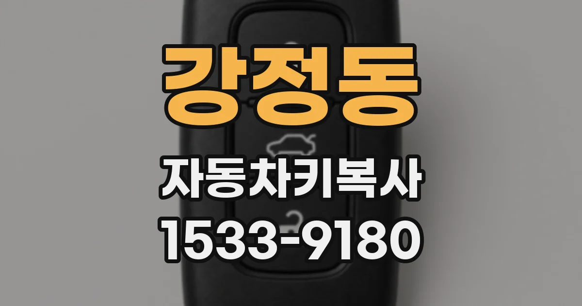 강정동 자동차키복사