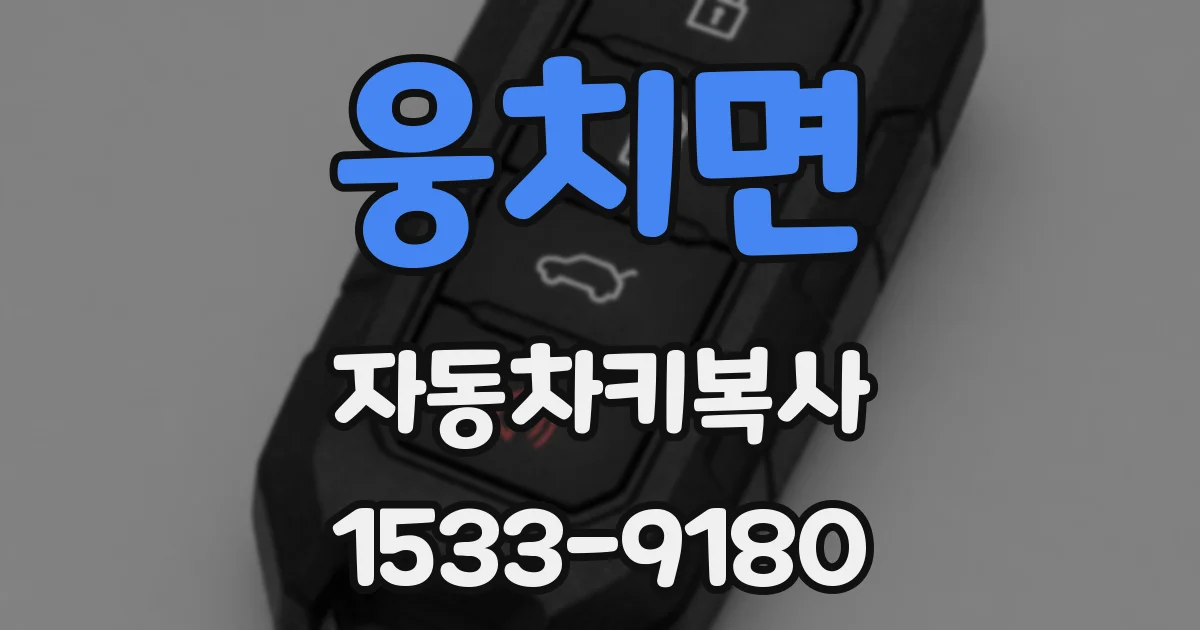 웅치면 자동차키복사