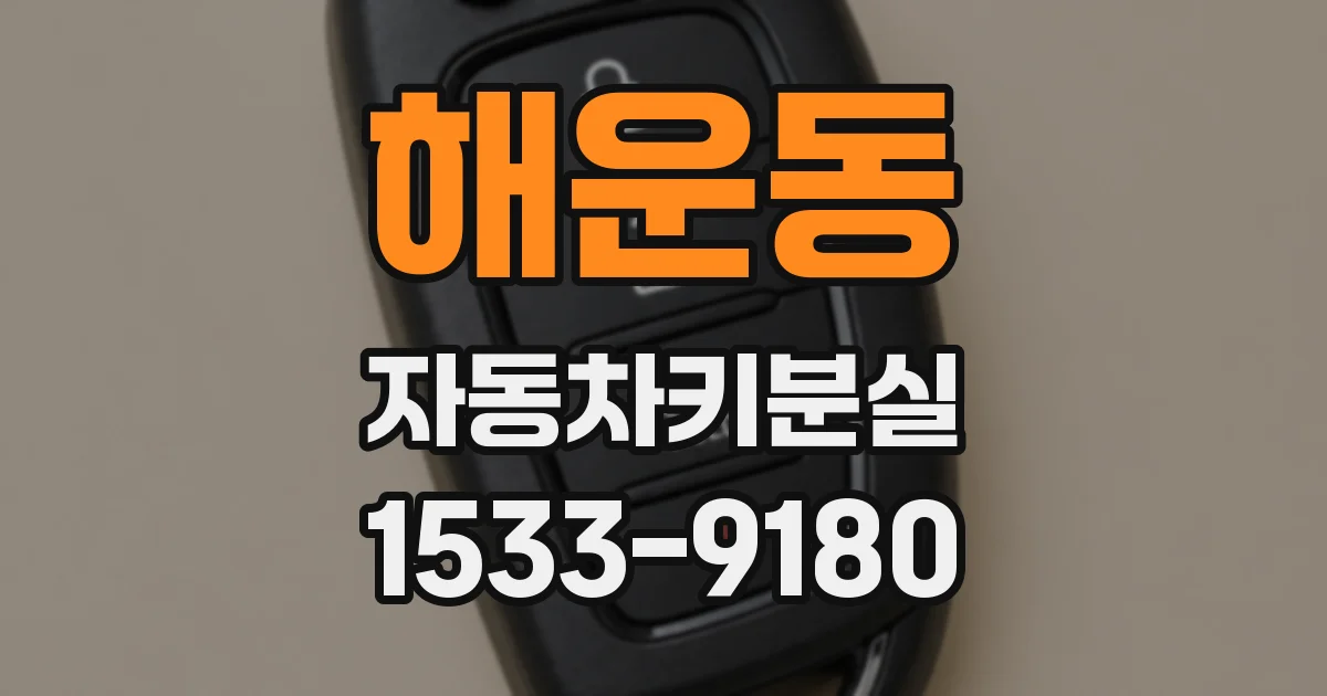 해운동 자동차키분실