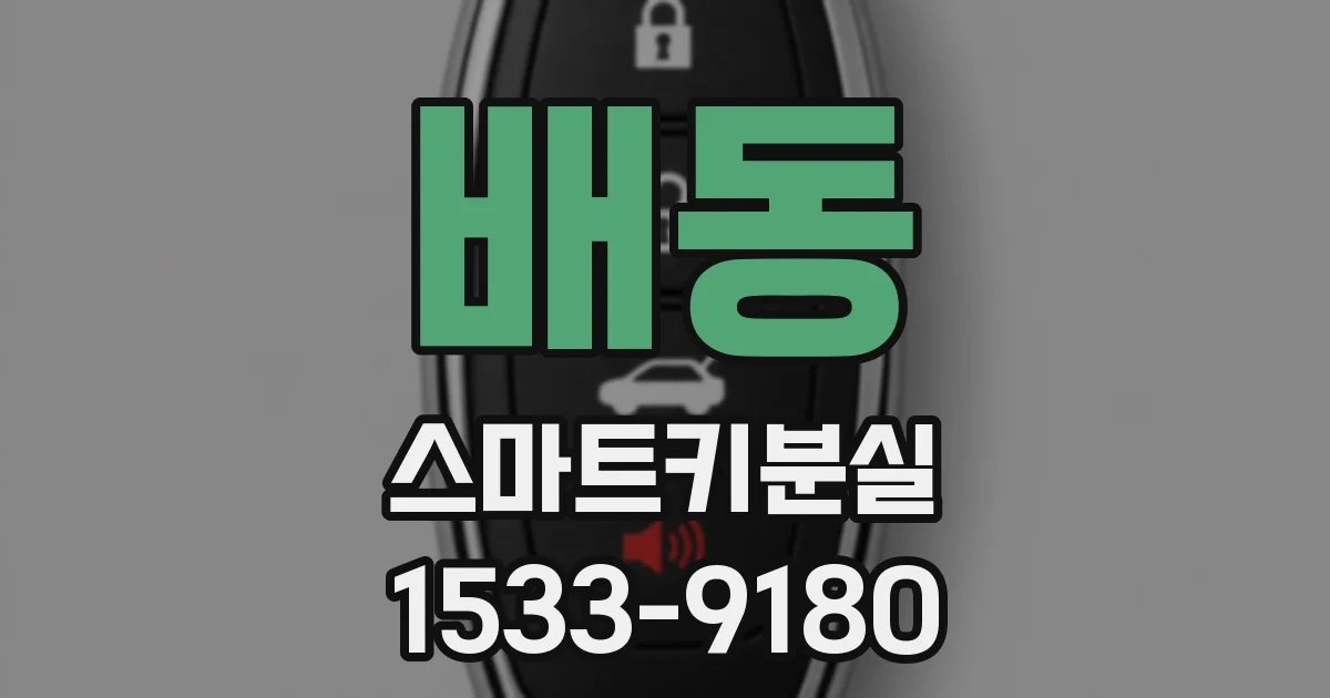 배동 스마트키분실