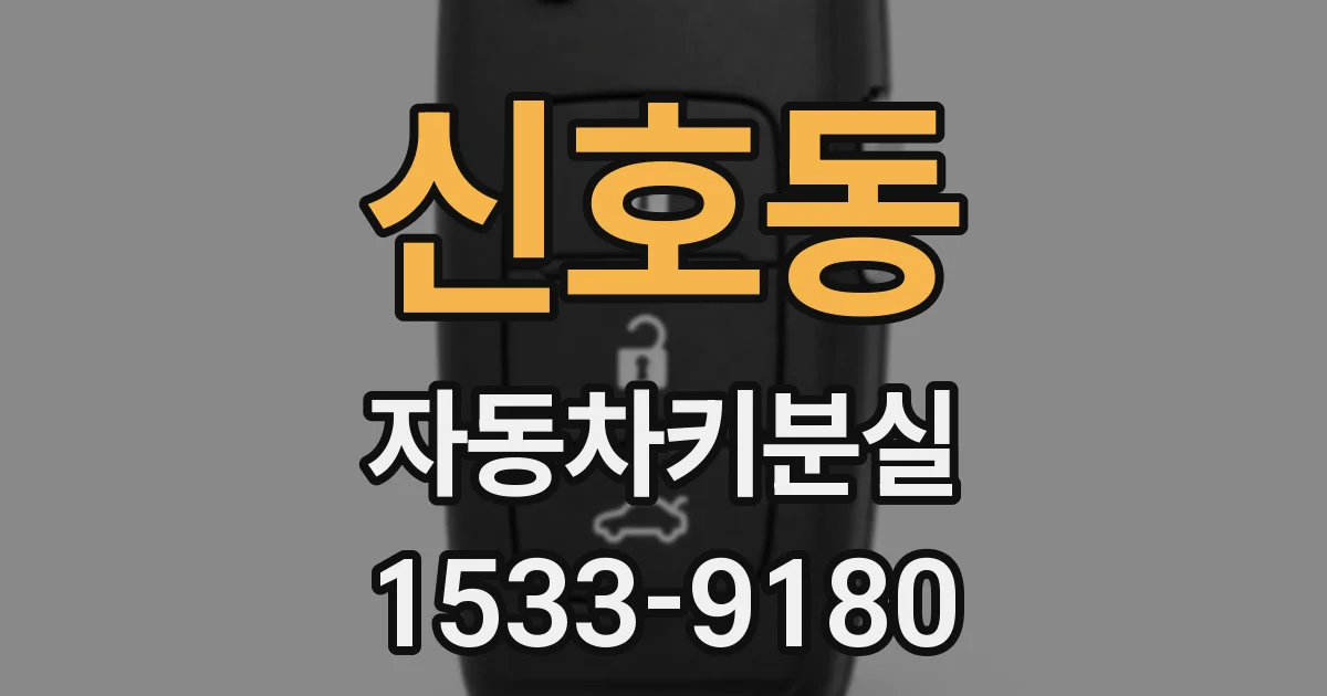 신호동 자동차키분실