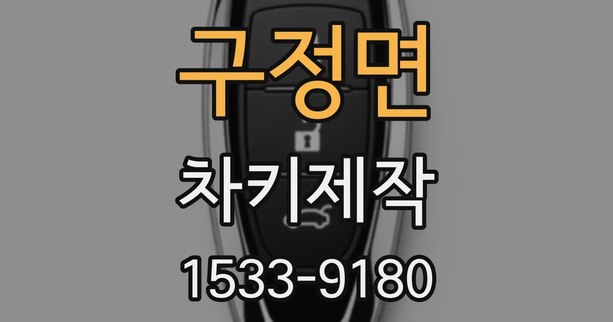 구정면 차키제작