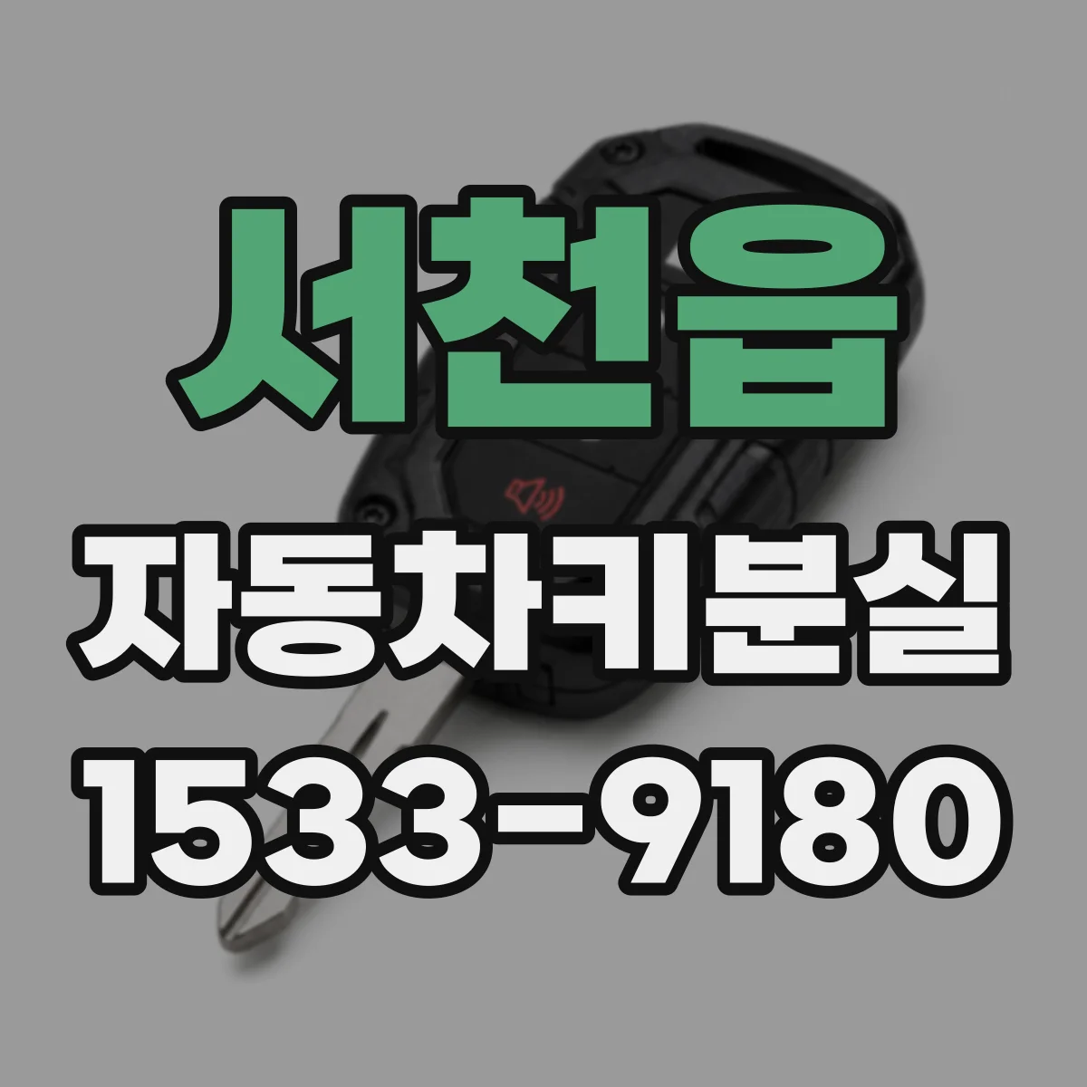 서천읍 자동차키분실