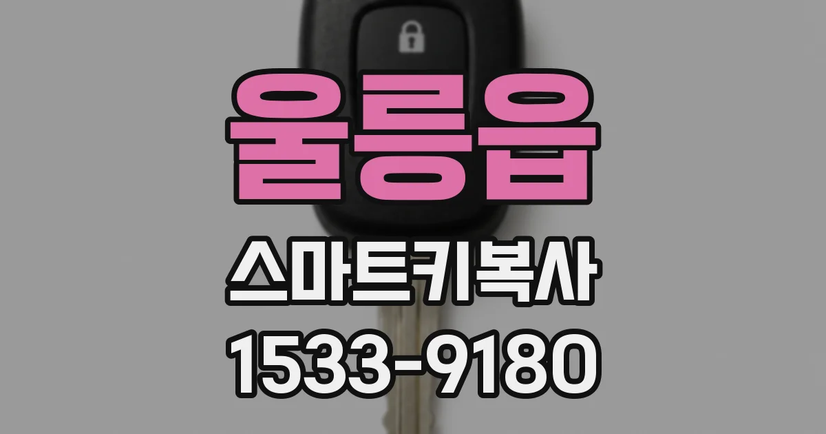 울릉읍 스마트키복사