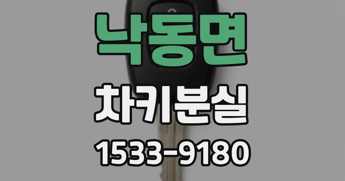 낙동면 차키분실