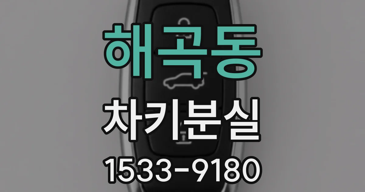 해곡동 차키분실