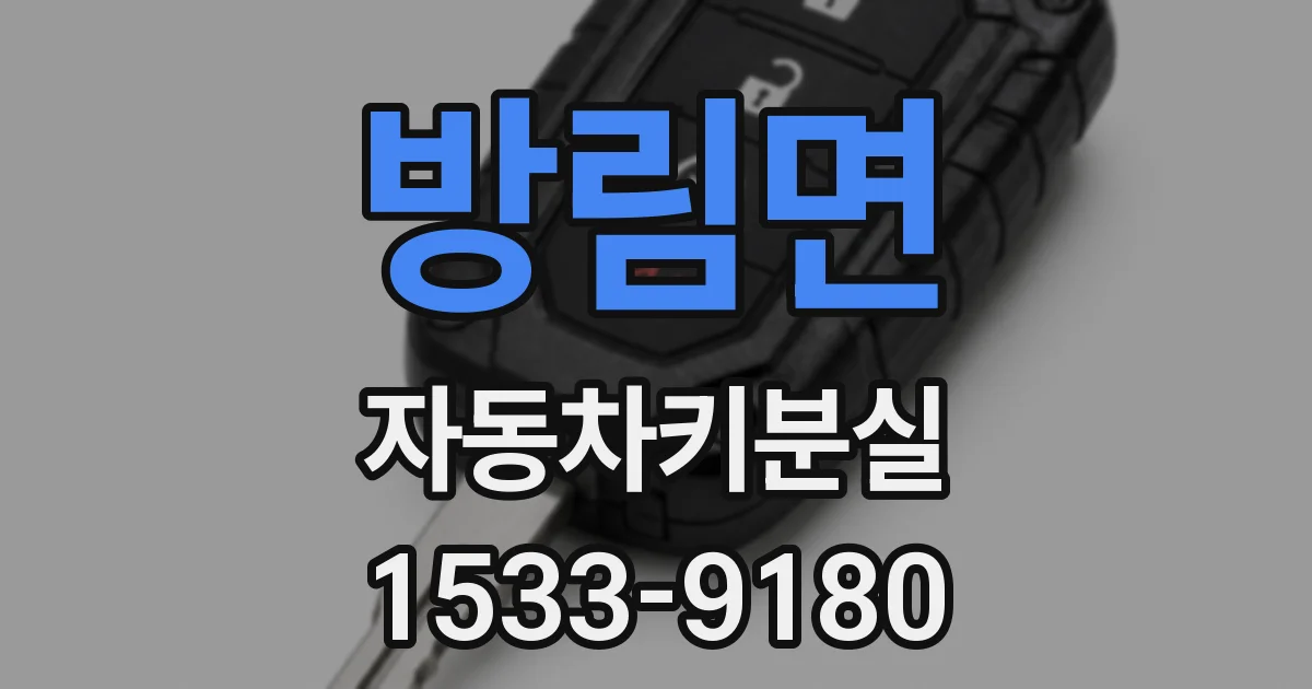 방림면 자동차키분실