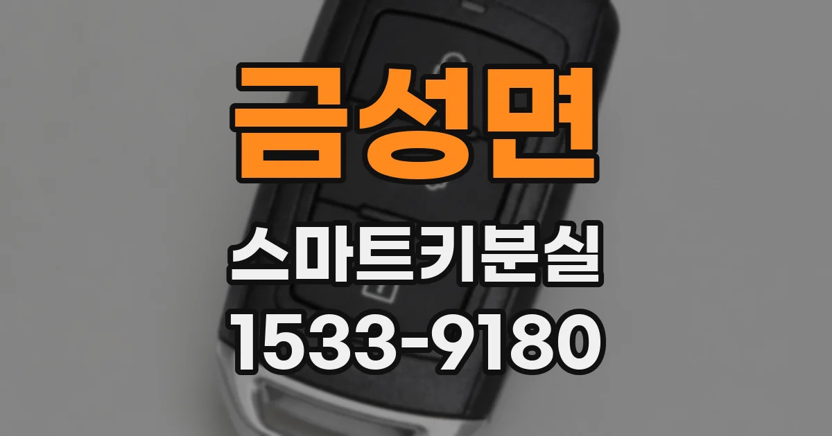금성면 스마트키분실