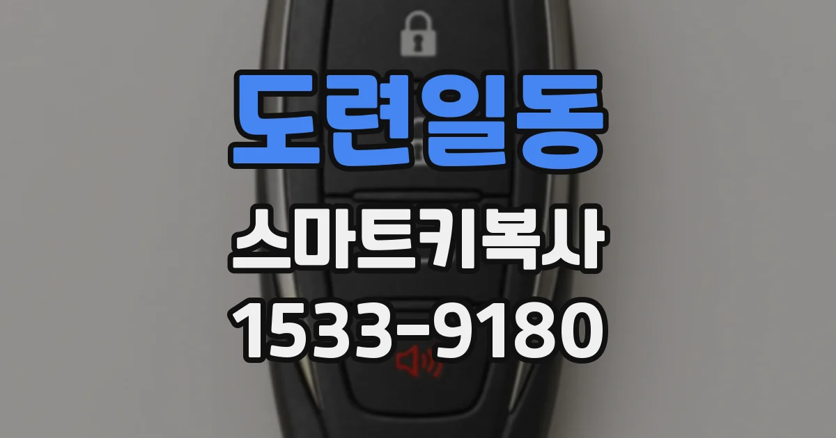 도련일동 스마트키복사
