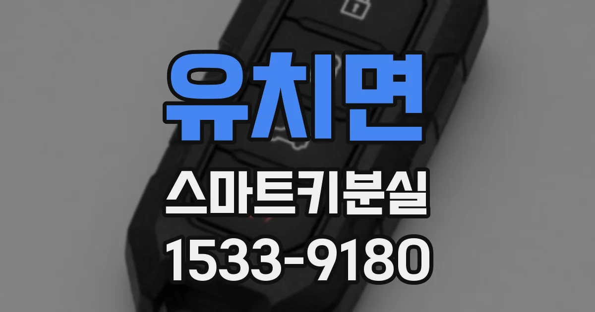 유치면 스마트키분실