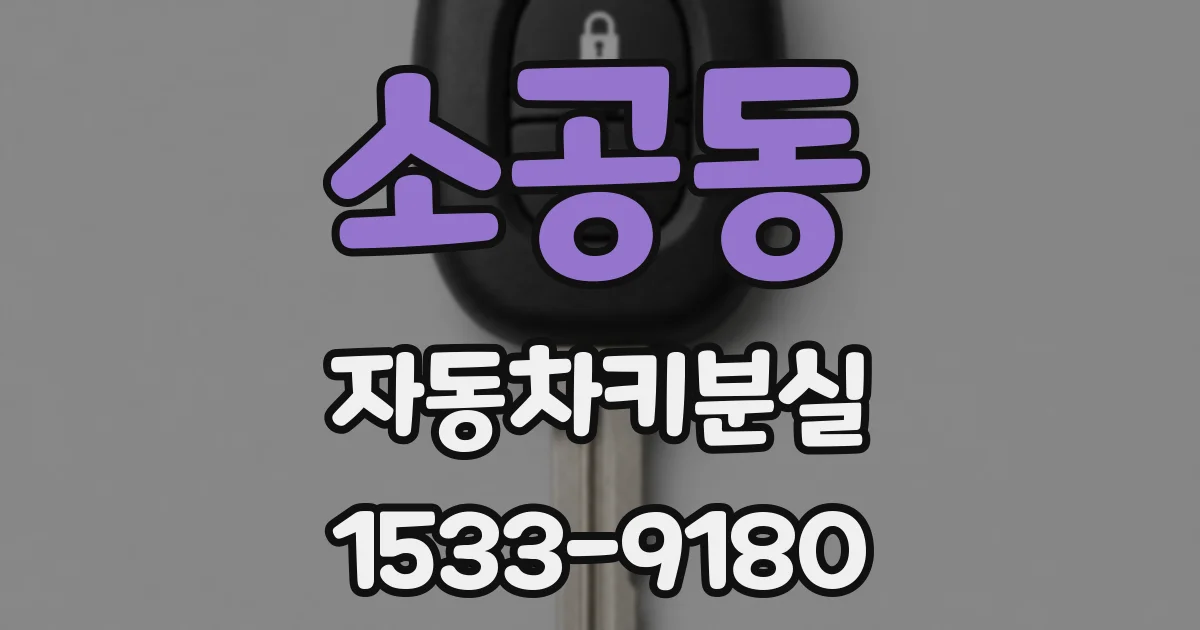 소공동 자동차키분실